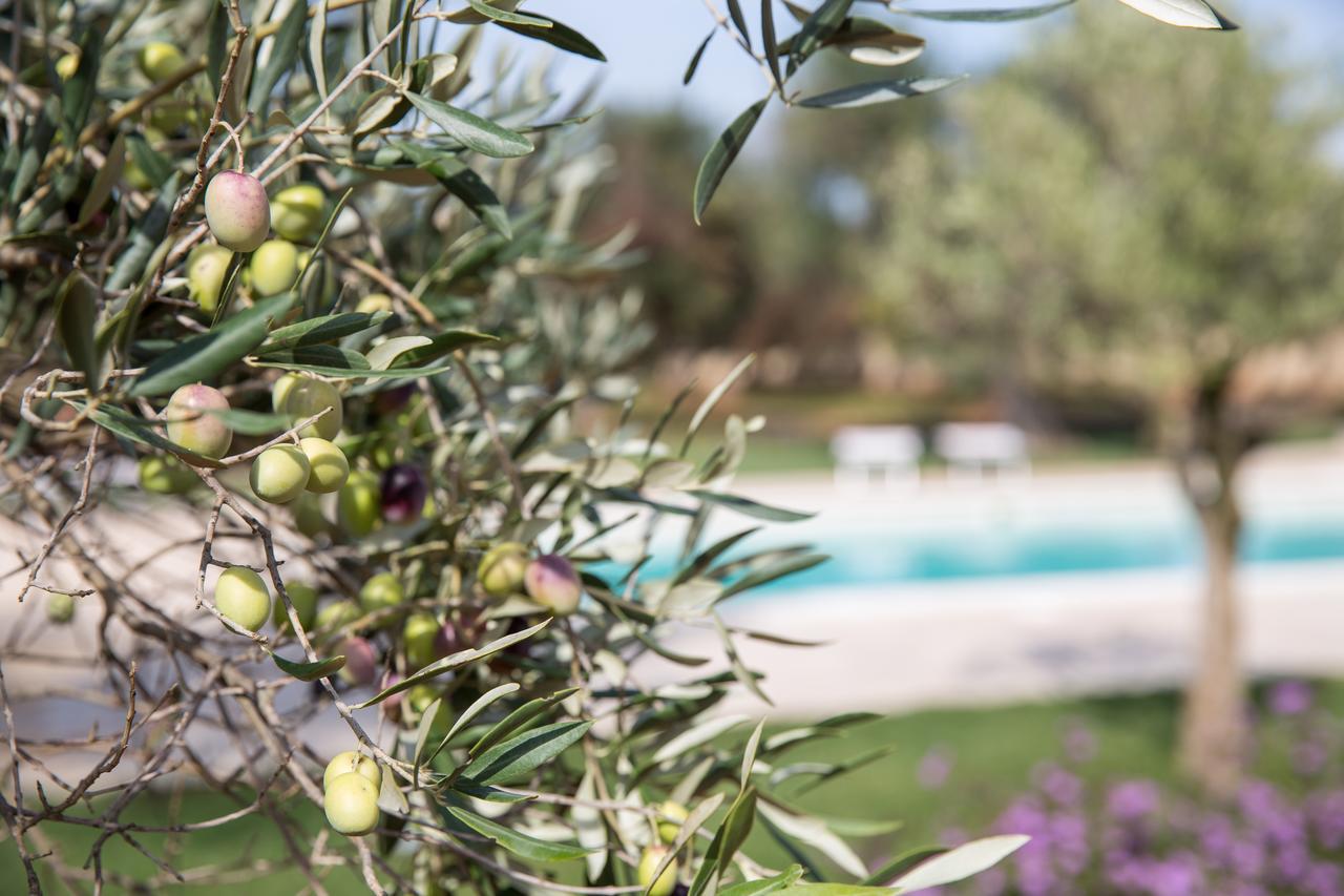 Masseria Saietti Руфано Екстериор снимка